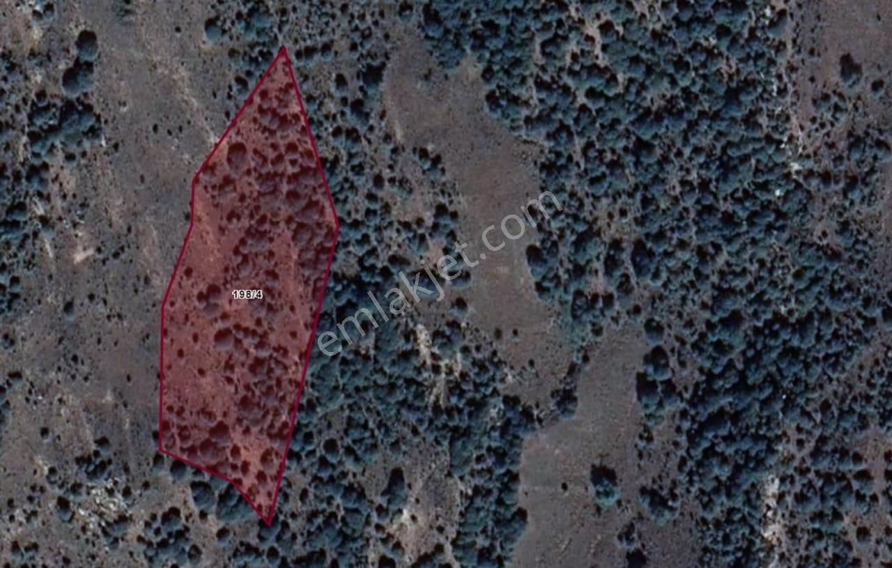 Çanakkale Gökçeada Zeytinliköy 14.717 M2 Satılık Tarla