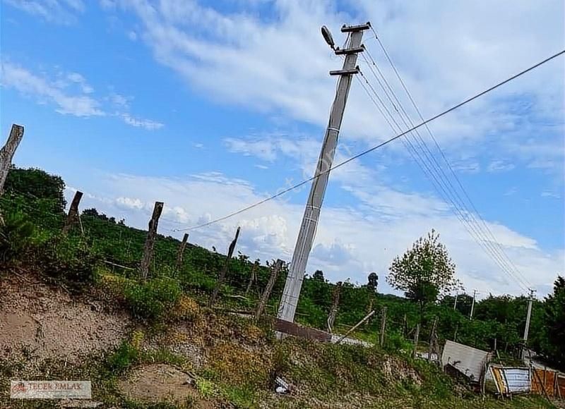 Düzce Merkez Asar Köyünde 8771 M2 Arsa Üzerinde 100 M2