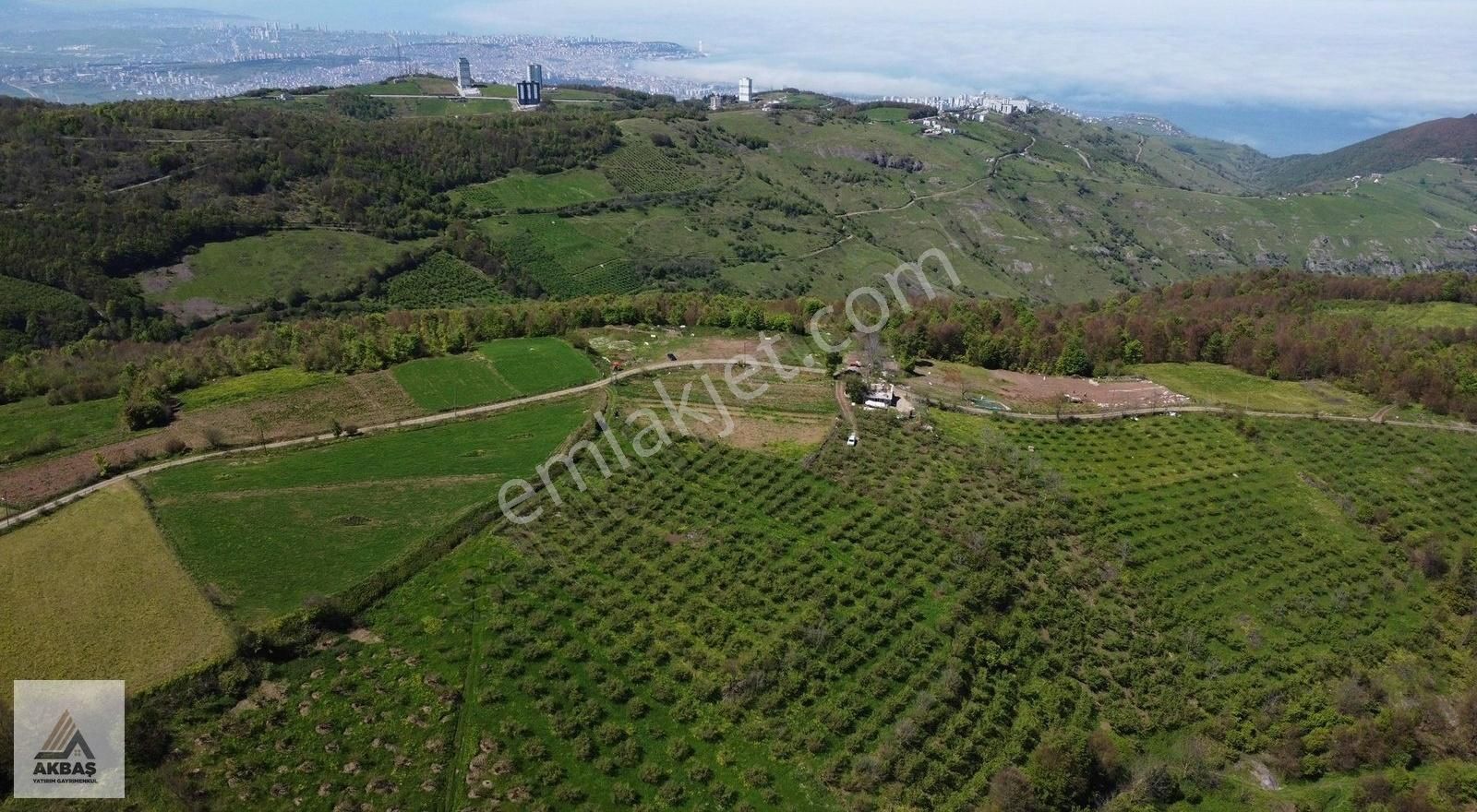 Akbaş Yatırım'dan Satılık Tarla 8 Dönüm Fındık Bahçesi