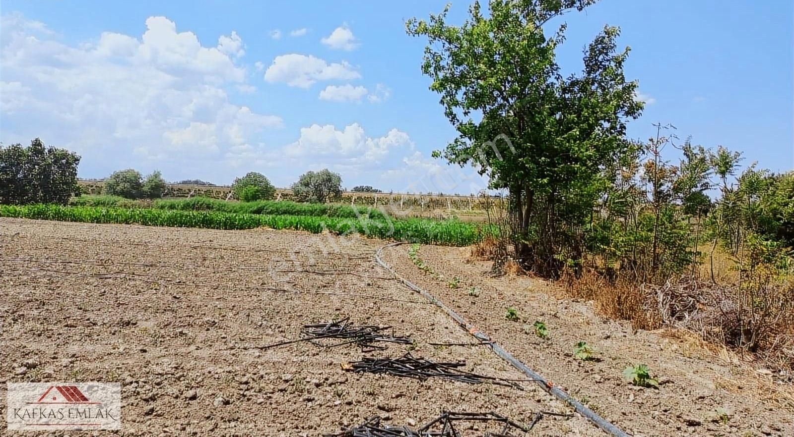 Mustafakemalpaşa Ada Mahallesi 600 M2 Hobi Bahçesi