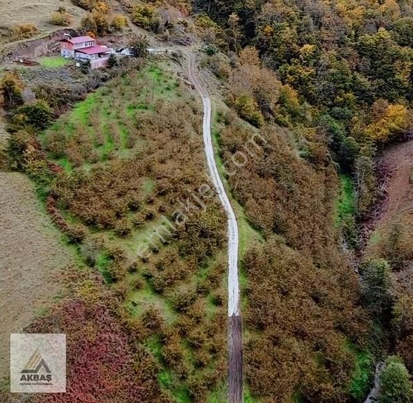 Akbaş Yatırım'dan Satılık 16 Dönüm Tarla