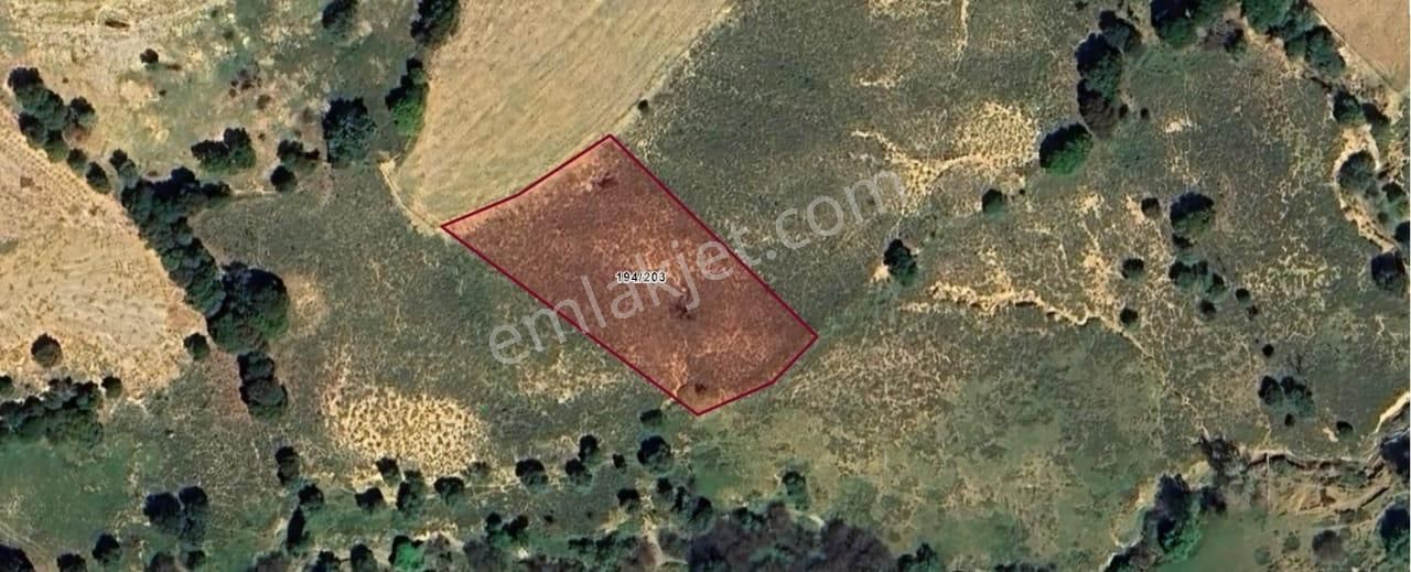 Çanakkale Gökçeada Zeytinliköy 2.841 M2 Satılık Tarla