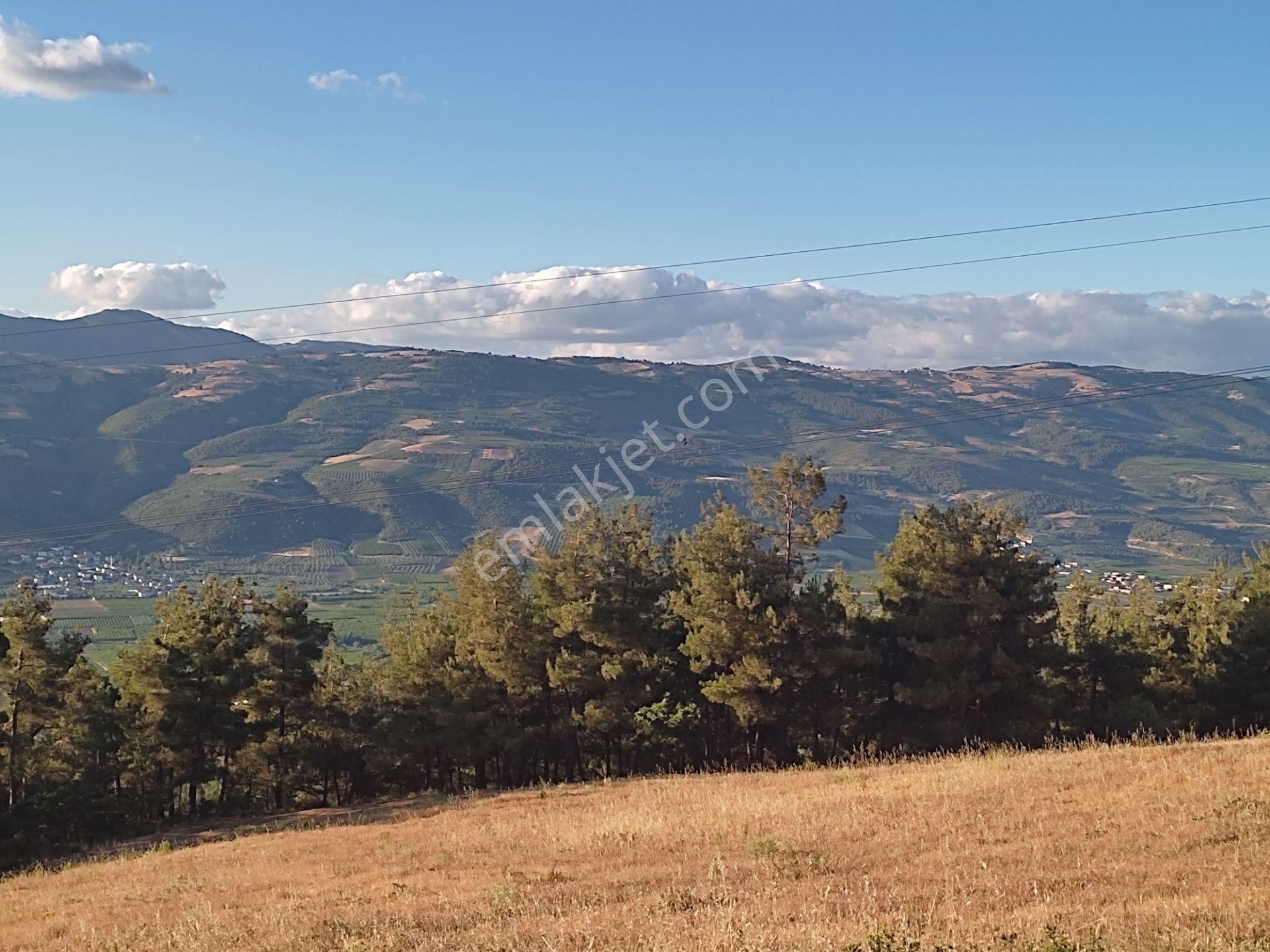 22.753 M2 Manzaralı Satılık Tarla