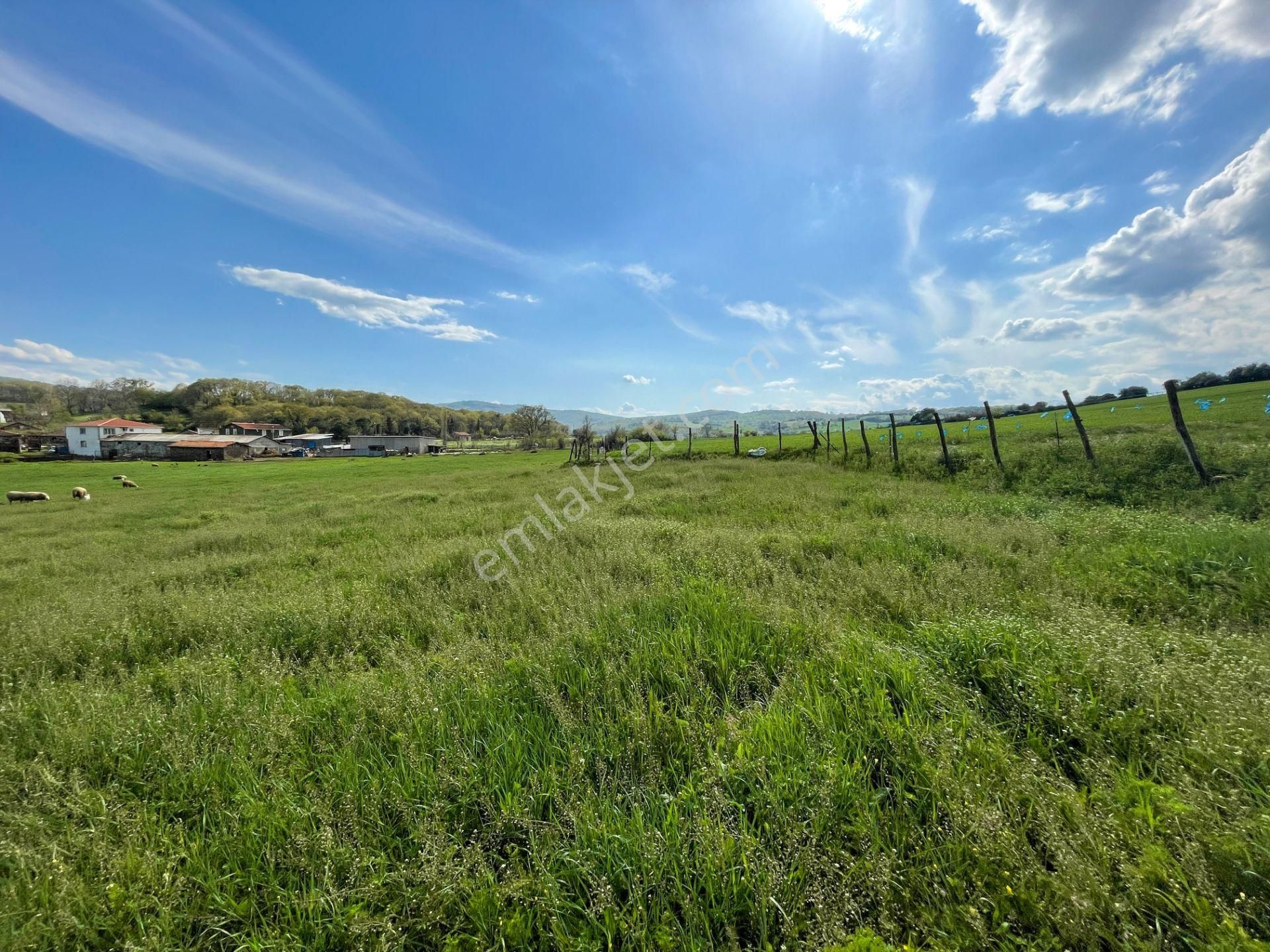 Biga Çeltik Köyünde 300 M² İyi Konumda Konut İmarlı Arsa - Görsel 34
