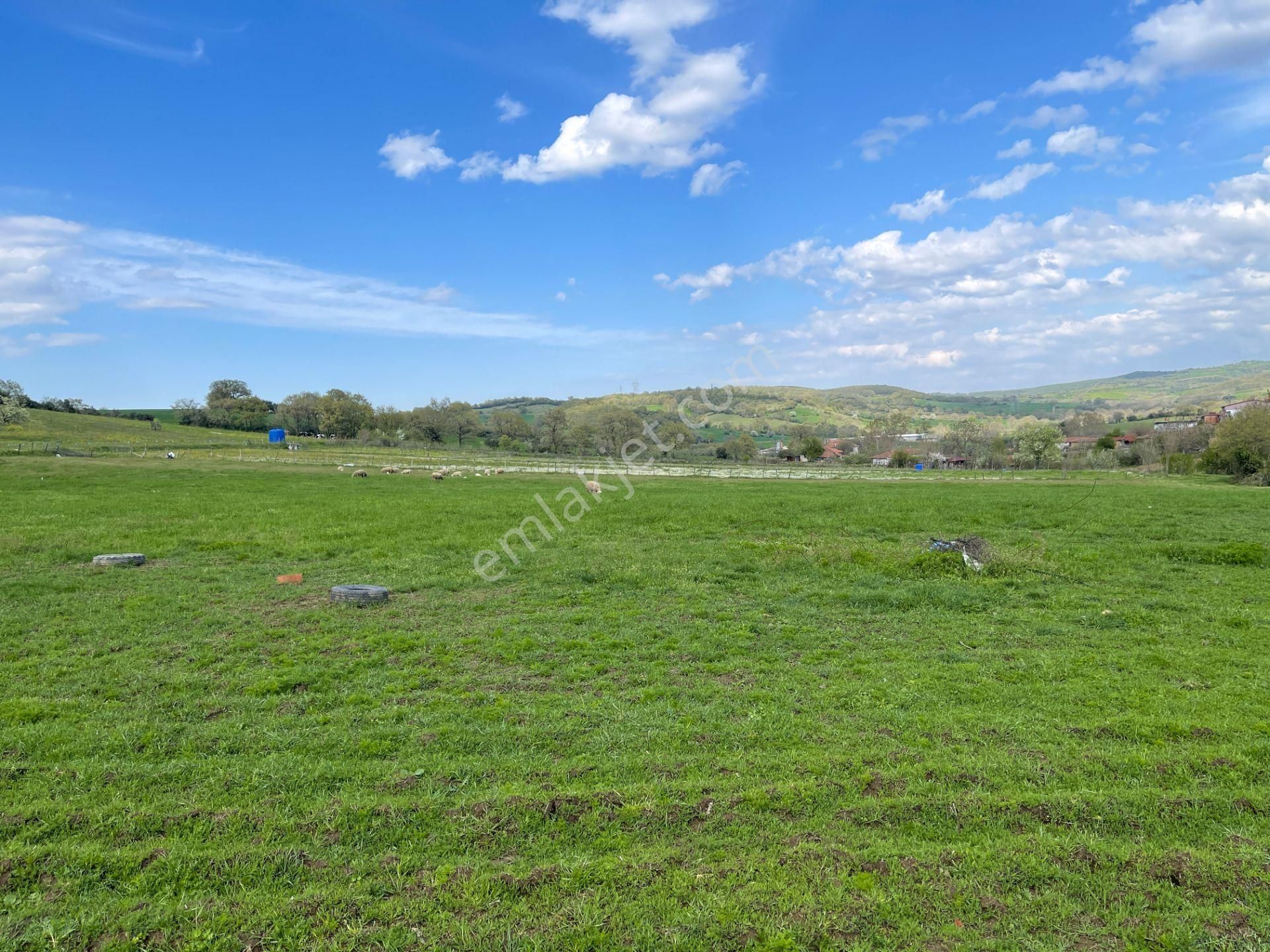 Biga Çeltik Köyünde 300 M² İyi Konumda Konut İmarlı Arsa - Görsel 18