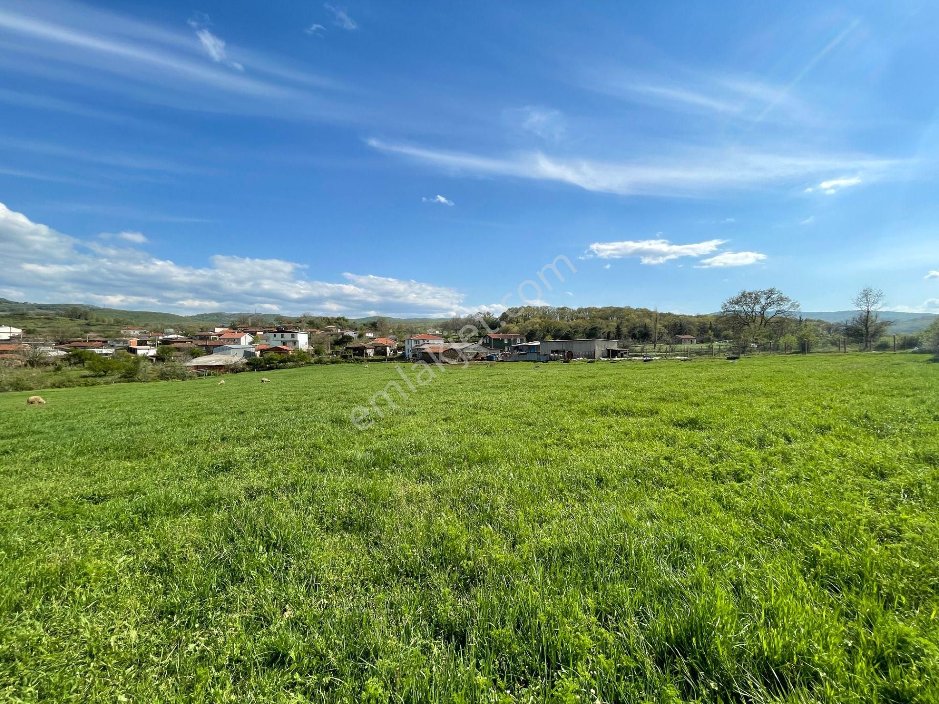 Biga Çeltik Köyünde 300 M² İyi Konumda Konut İmarlı Arsa - Görsel 33