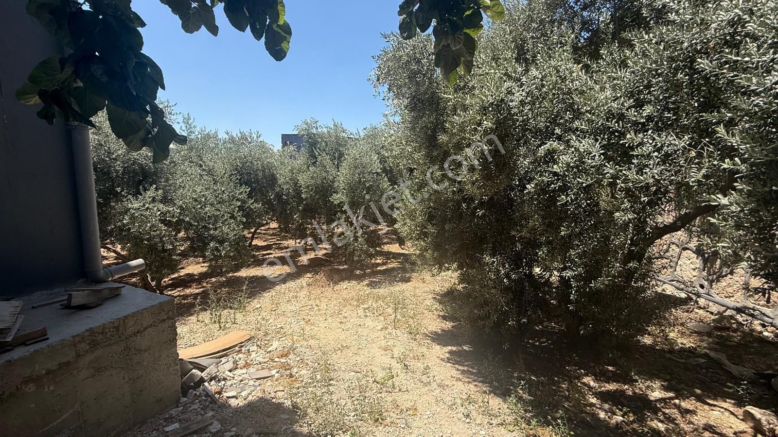 Zorlu Gayrimenkul'den 9500m2 Arsa İçerisinde 3500m2 Kapalı - Görsel 24