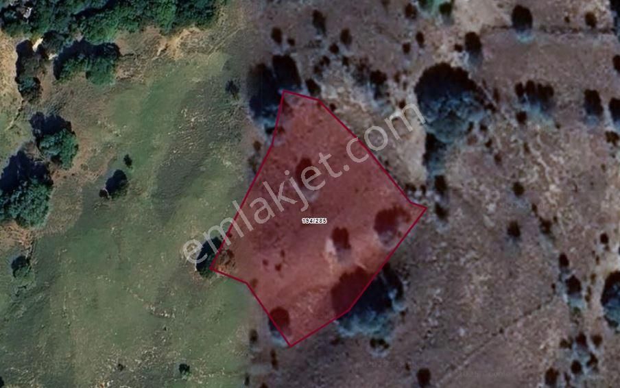 Çanakkale Gökçeada Zeytinliköy 3.906 M2 Satılık Tarla