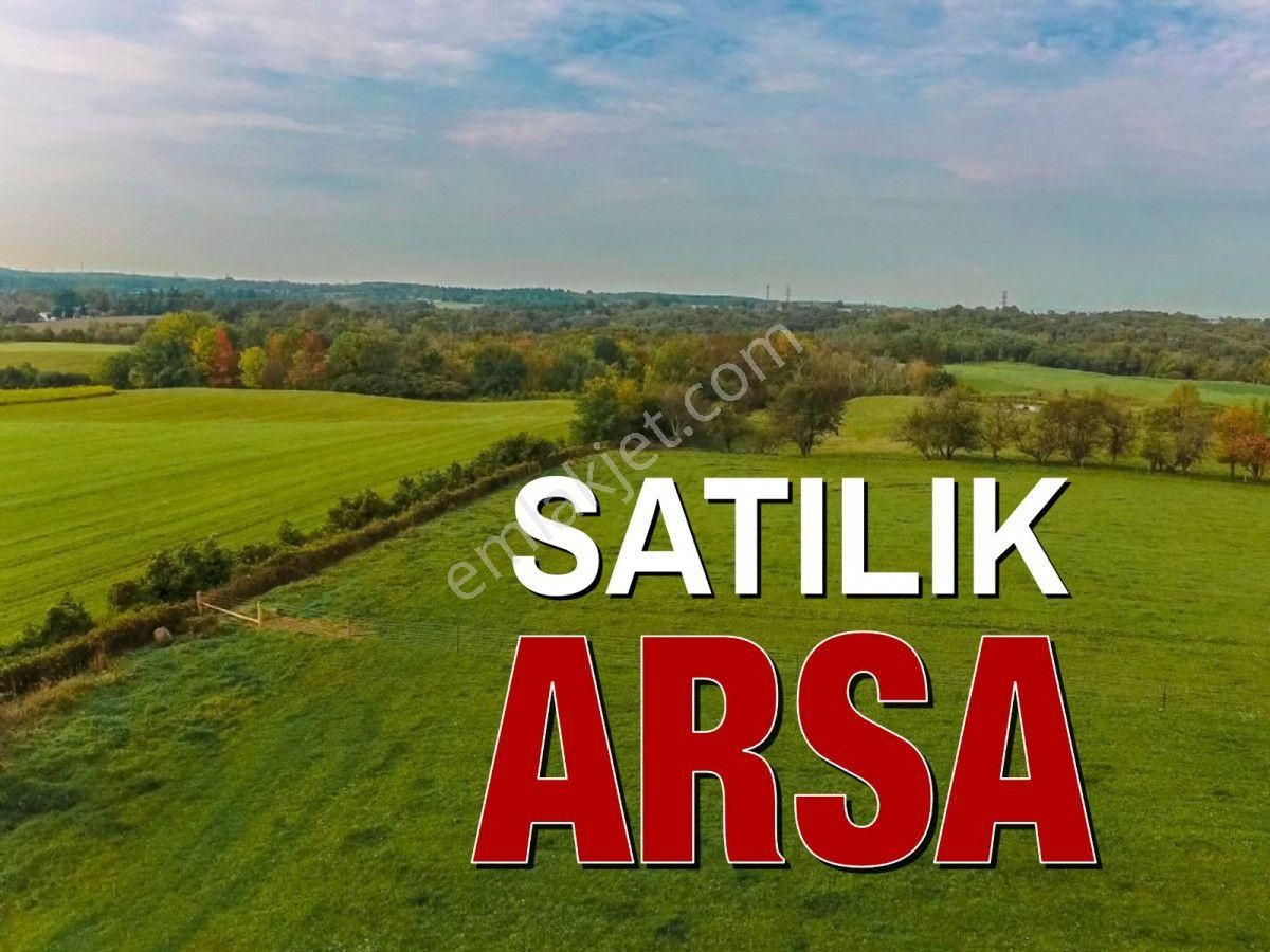 Irmaksudan Ortaoba Köyünde Yatırımlık 2 Dönüm Zeytinlik