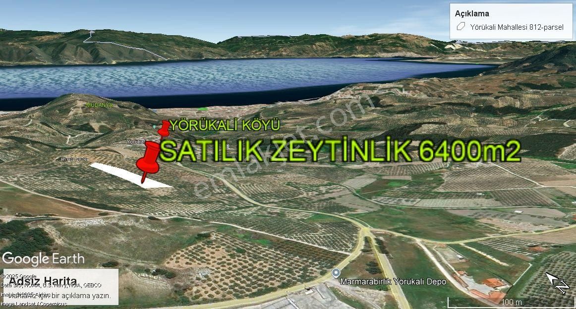 Mudanya Yörükali Satılık Zeytinlik - Görsel 3