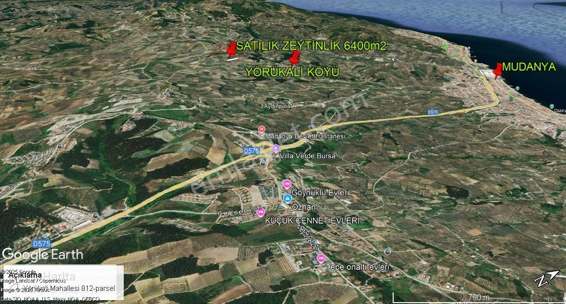 Mudanya Yörükali Satılık Zeytinlik - Görsel 6