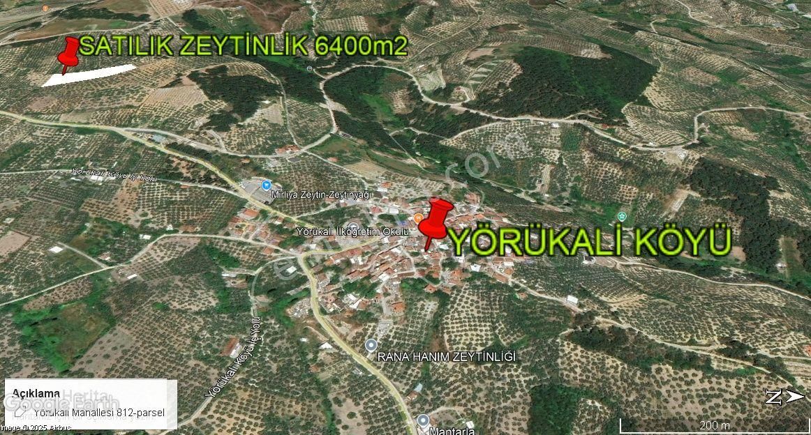 Mudanya Yörükali Satılık Zeytinlik - Görsel 8