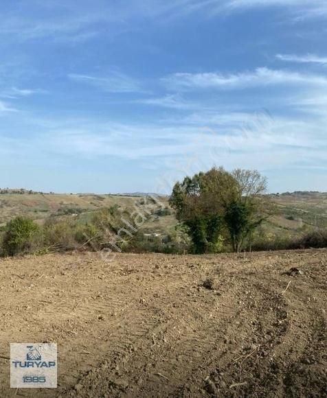 Çiftlikköy Dereköy De Köy Civarı 3550 M2 Satılık Tarla