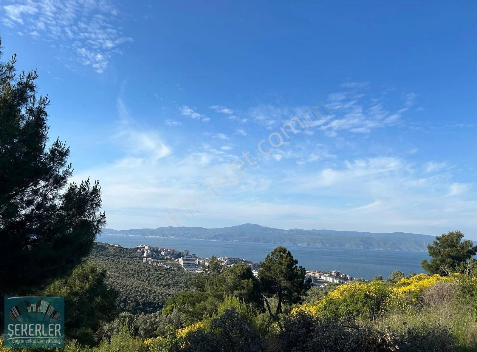 Şekerlerden Mudanya Halitpaşada Full Deniz Manzaralı Arazi