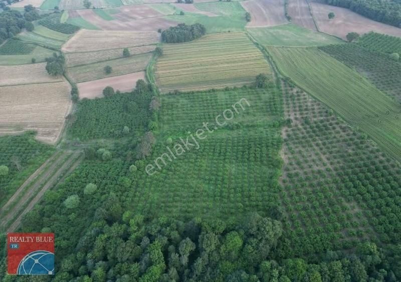 Balıkesir Manyas Peynirlikuyu 'da Satılık 5627 M2 Arazi