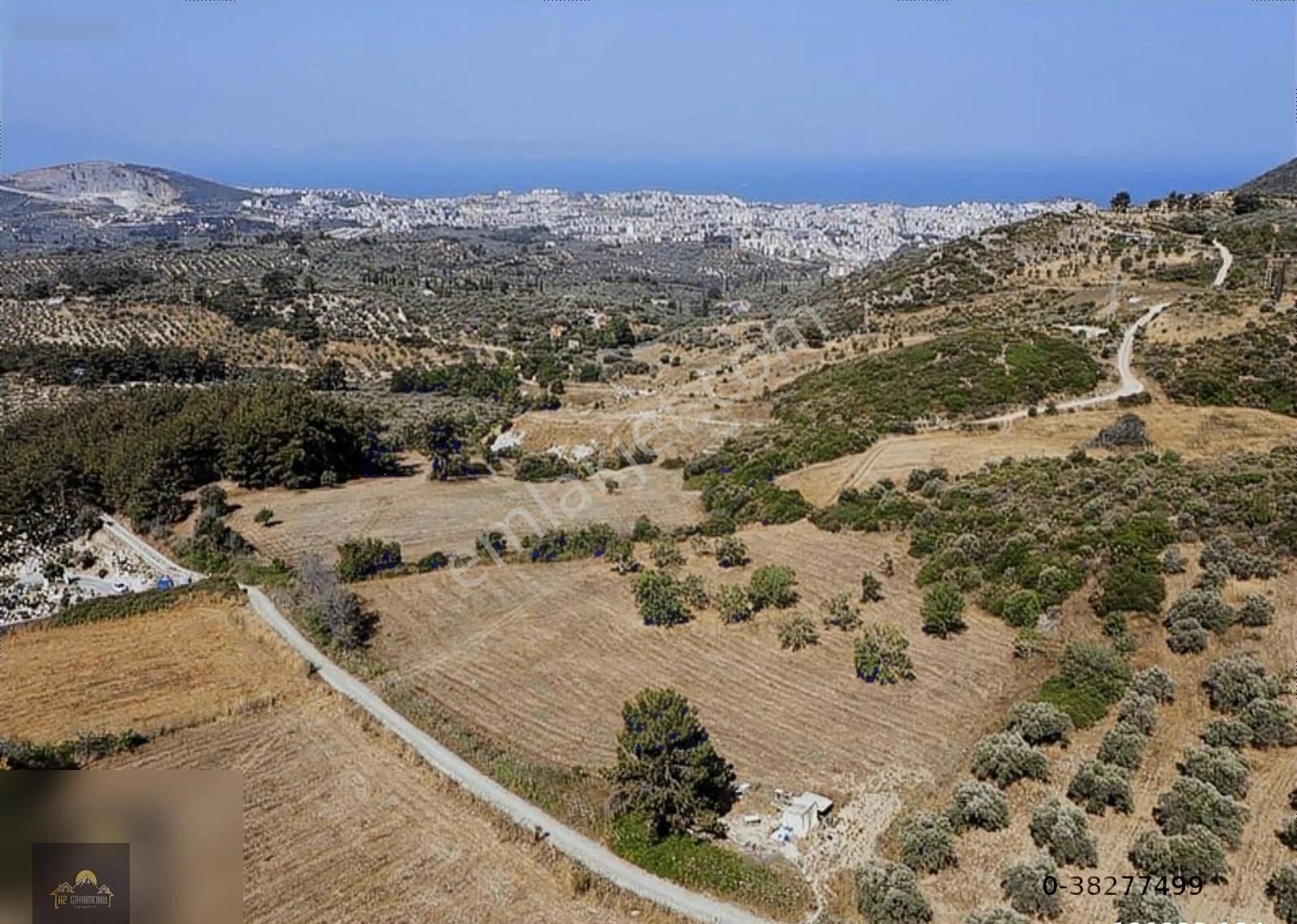 Kuşadası Merkeze Yakın Deniz Manzaralı 43.000m2 Tarla