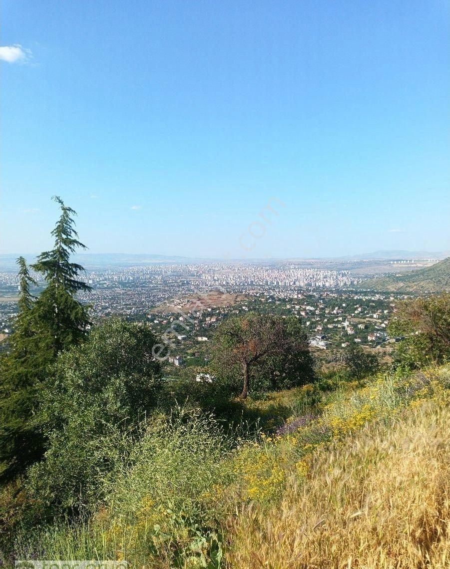 Hisarcık Kızıltepe Şehir Manzaralı 2125m2 Bağ - Görsel 11