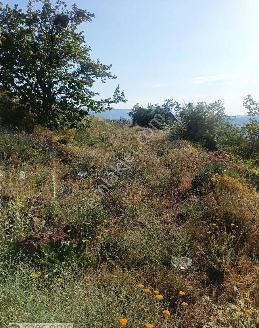 Hisarcık Kızıltepe Şehir Manzaralı 2125m2 Bağ - Görsel 5