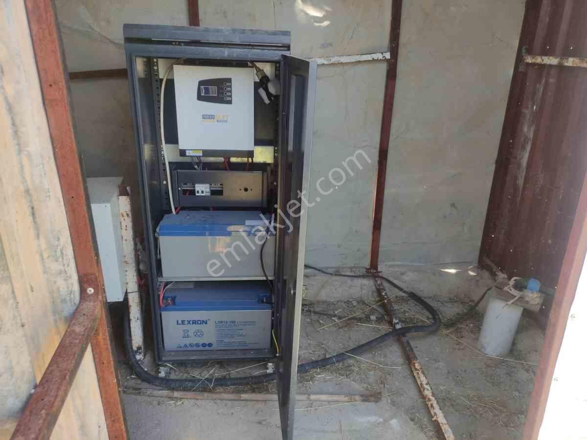 Didim Akköy Mahallesi'nde Satılık Zeytinlik - Görsel 20