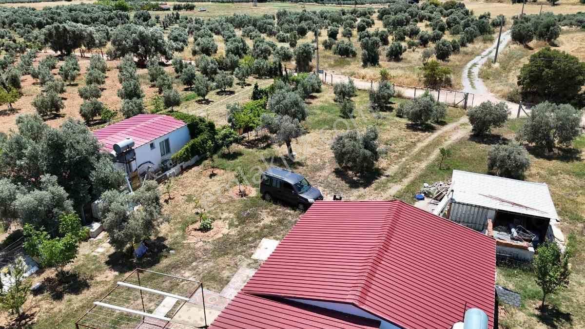 Didim Akköy Mahallesi'nde Satılık Zeytinlik - Görsel 35