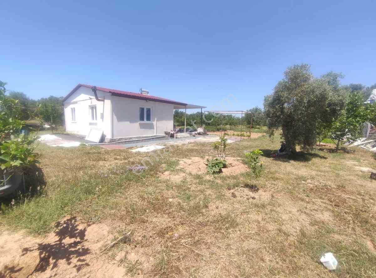 Didim Akköy Mahallesi'nde Satılık Zeytinlik - Görsel 18