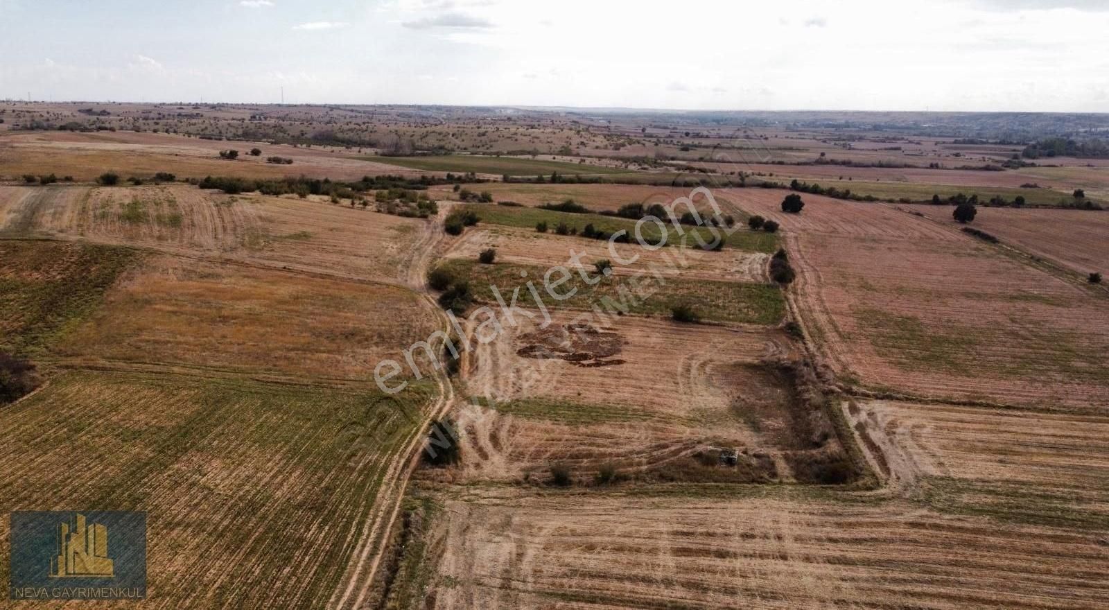 Kırklareli Merkez Koyunbaba Köyü 4.600 M²