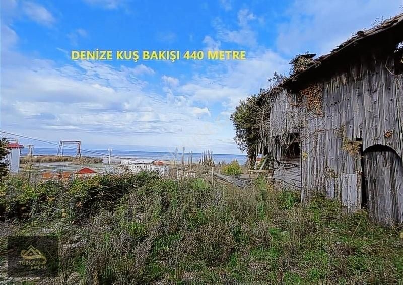 Türkan Emlaktan Ahşap Ev Ve Arsası
