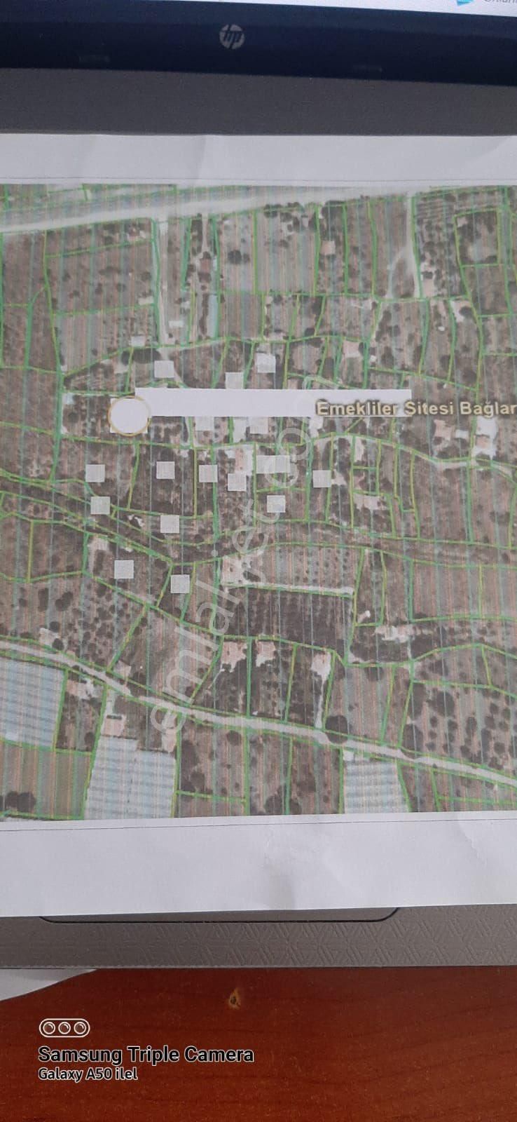 Arkadaş Emlaktan Altınbaş (elemin) Köyünde 3.180 M2 Satılık Bahçe