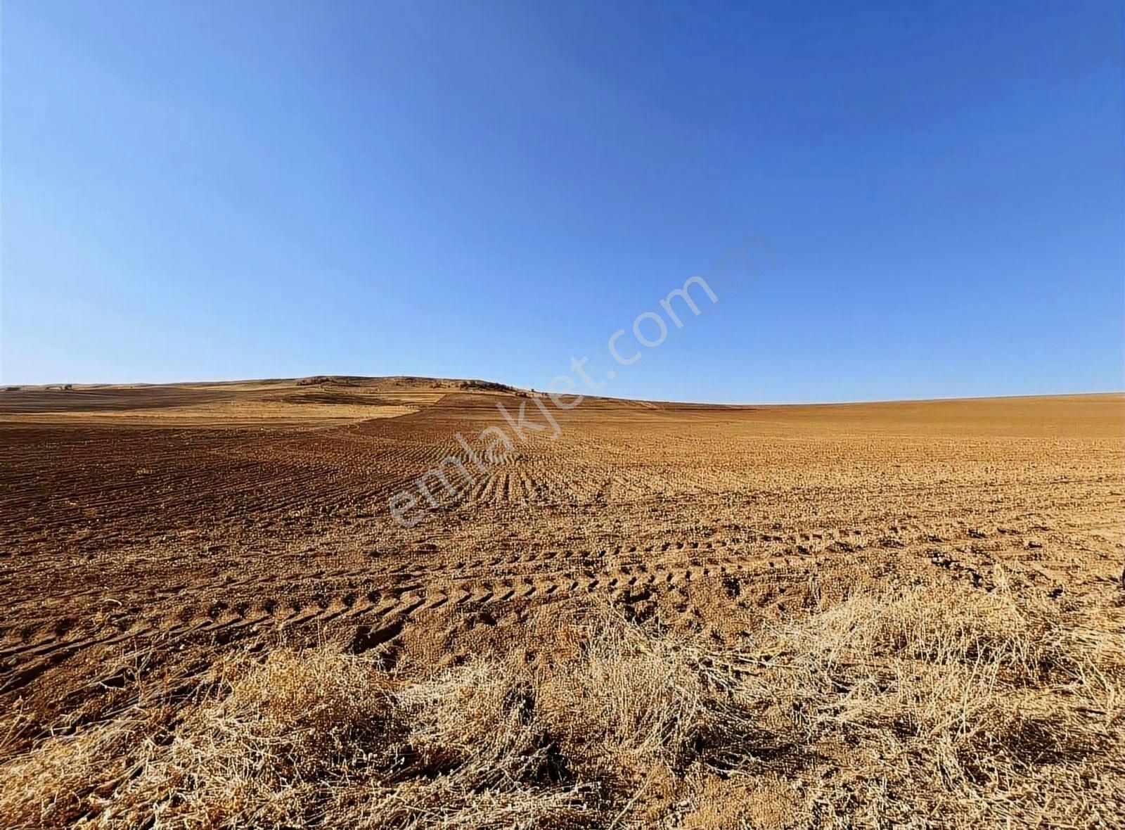 Gölbaşı Runkuş Mevkii(dikilitaş) Satılık Tarla