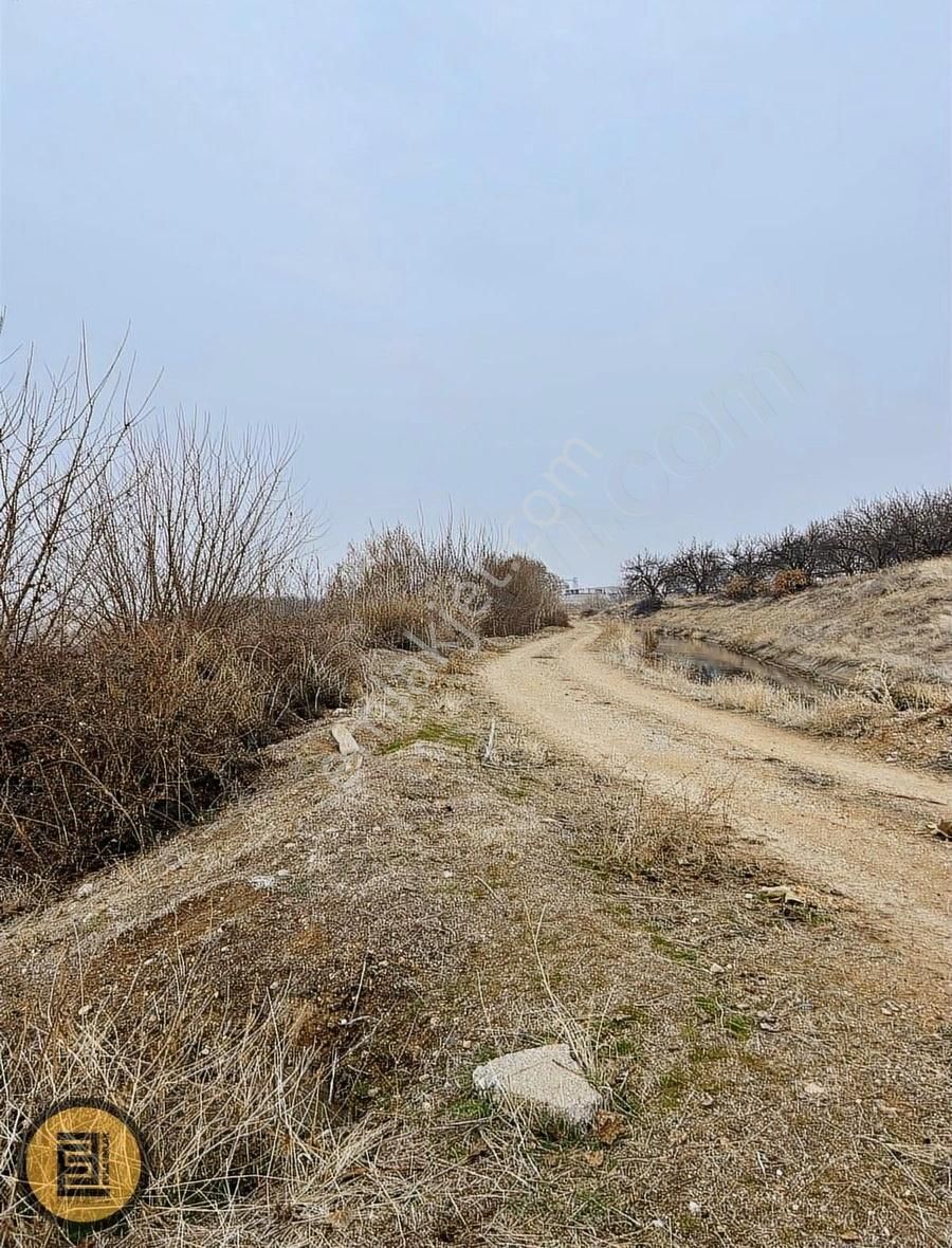 Evka Emlaktan Akçadağ Doğu Mahallesinde 6500 M2 Tarla