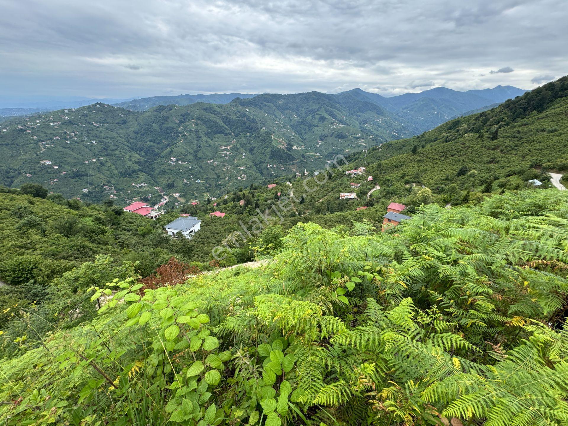 Trabzon Yomra Gürsel Mahallesi 2.344 M2 Satılık Arsa - Görsel 3