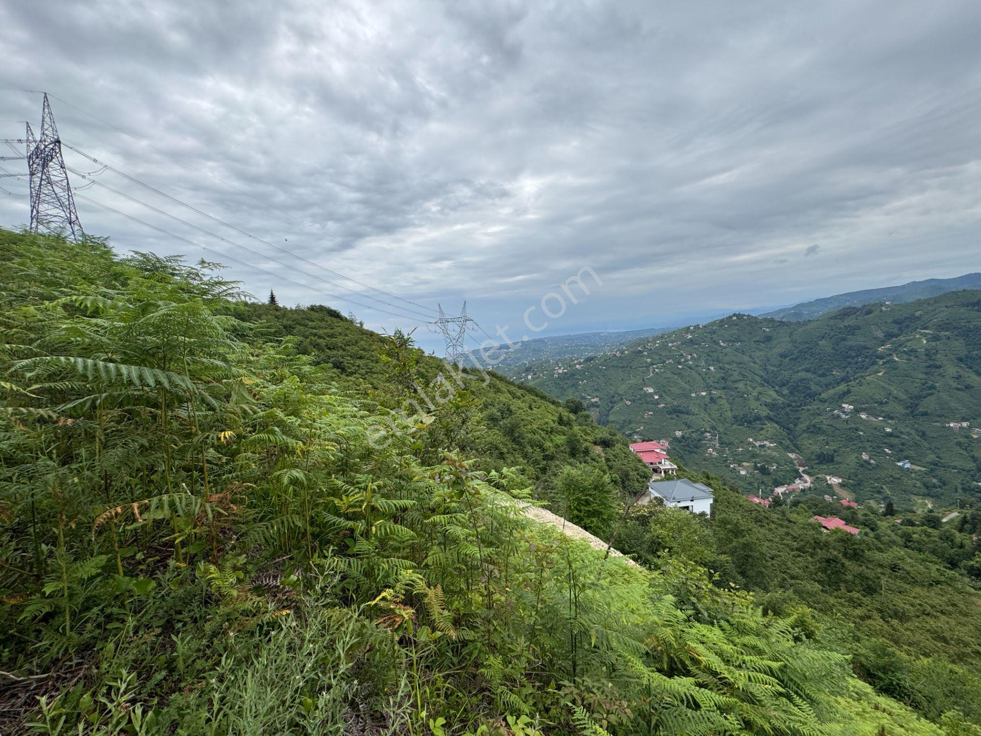 Trabzon Yomra Gürsel Mahallesi 2.344 M2 Satılık Arsa - Görsel 17