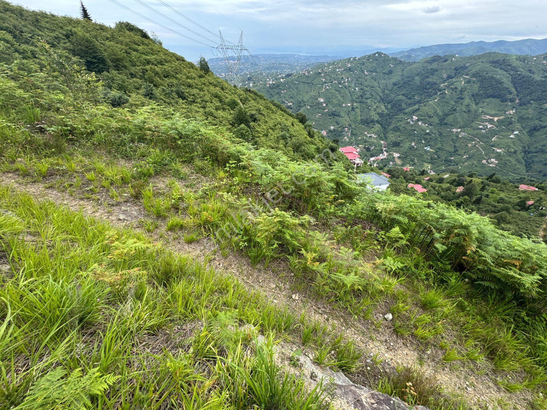 Trabzon Yomra Gürsel Mahallesi 2.344 M2 Satılık Arsa - Görsel 12