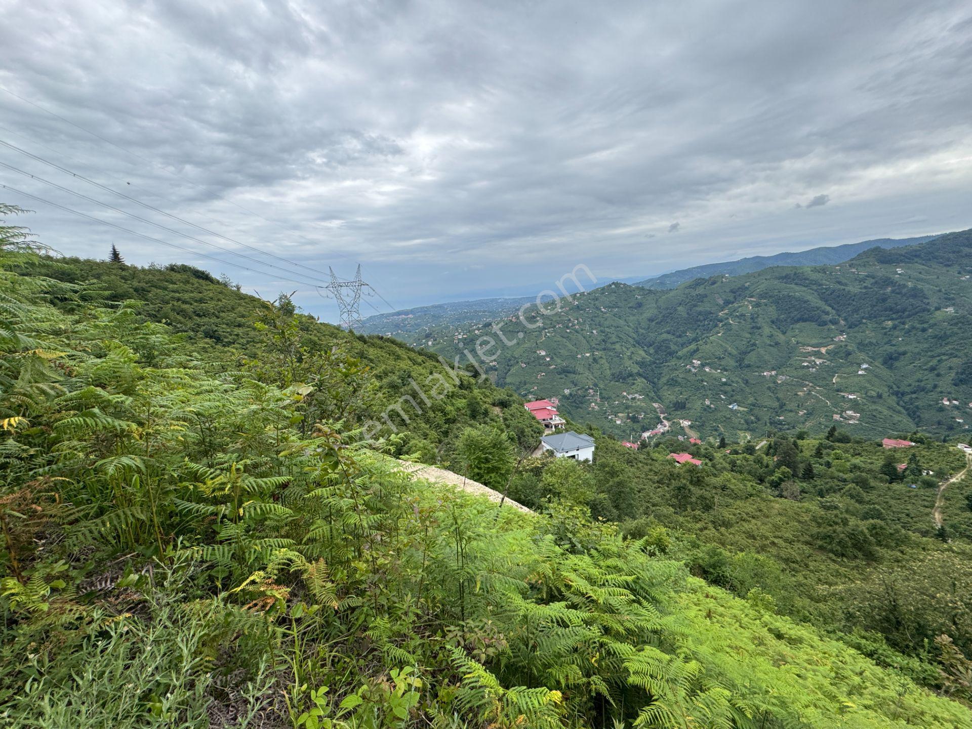 Trabzon Yomra Gürsel Mahallesi 2.344 M2 Satılık Arsa - Görsel 16