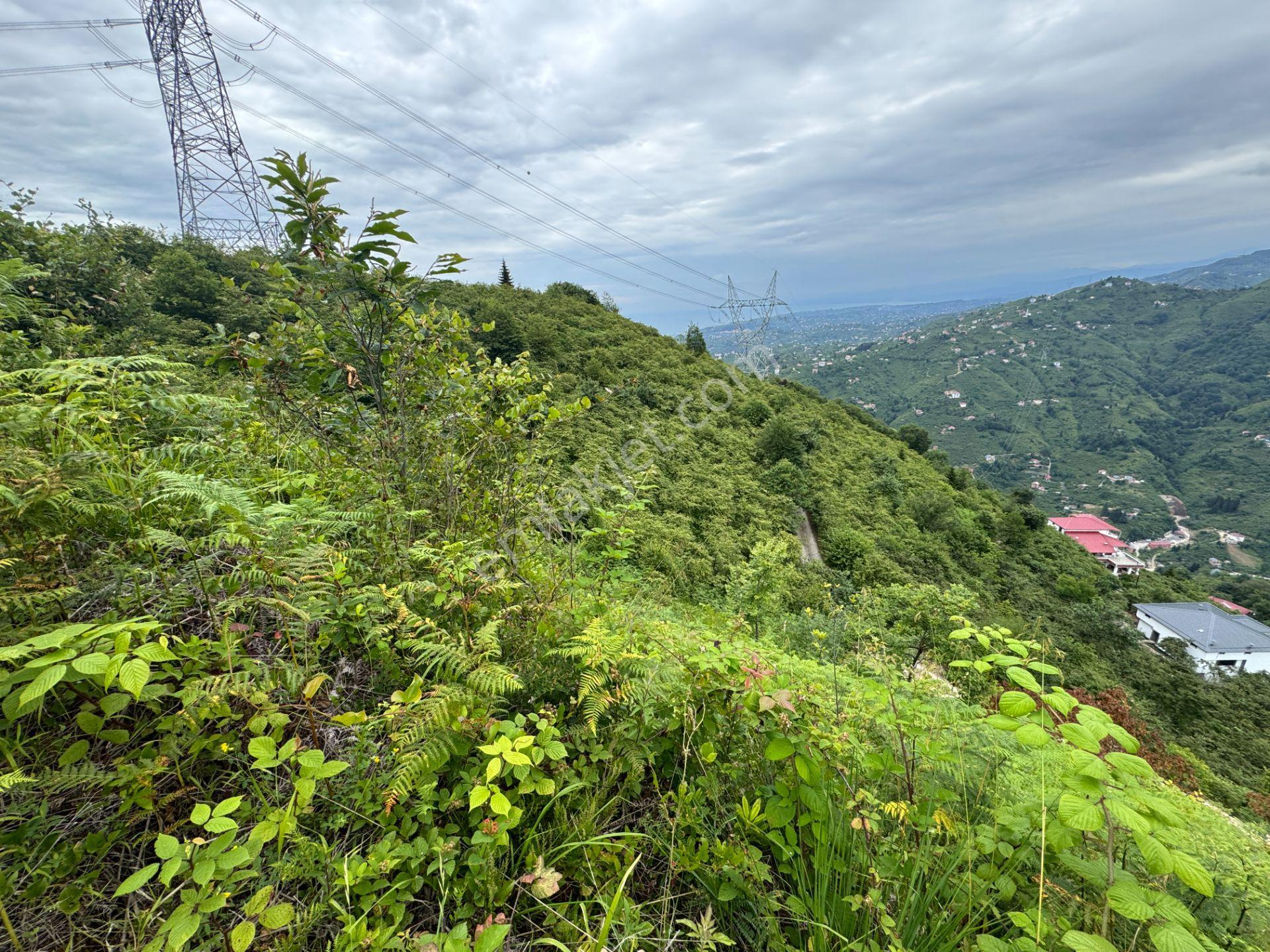 Trabzon Yomra Gürsel Mahallesi 2.344 M2 Satılık Arsa - Görsel 5