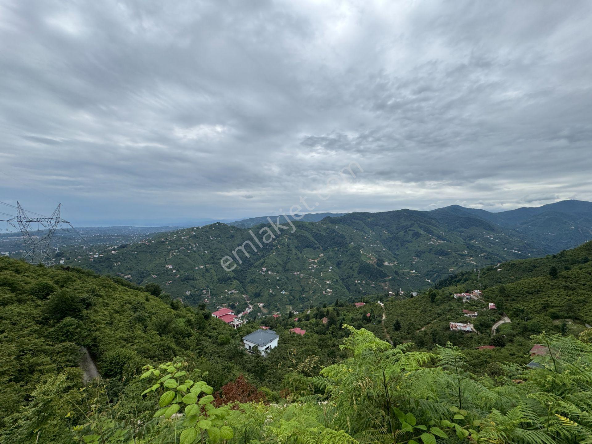 Trabzon Yomra Gürsel Mahallesi 2.344 M2 Satılık Arsa - Görsel 7