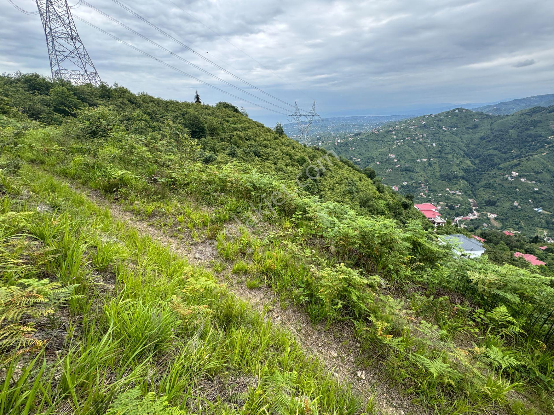 Trabzon Yomra Gürsel Mahallesi 2.344 M2 Satılık Arsa - Görsel 13