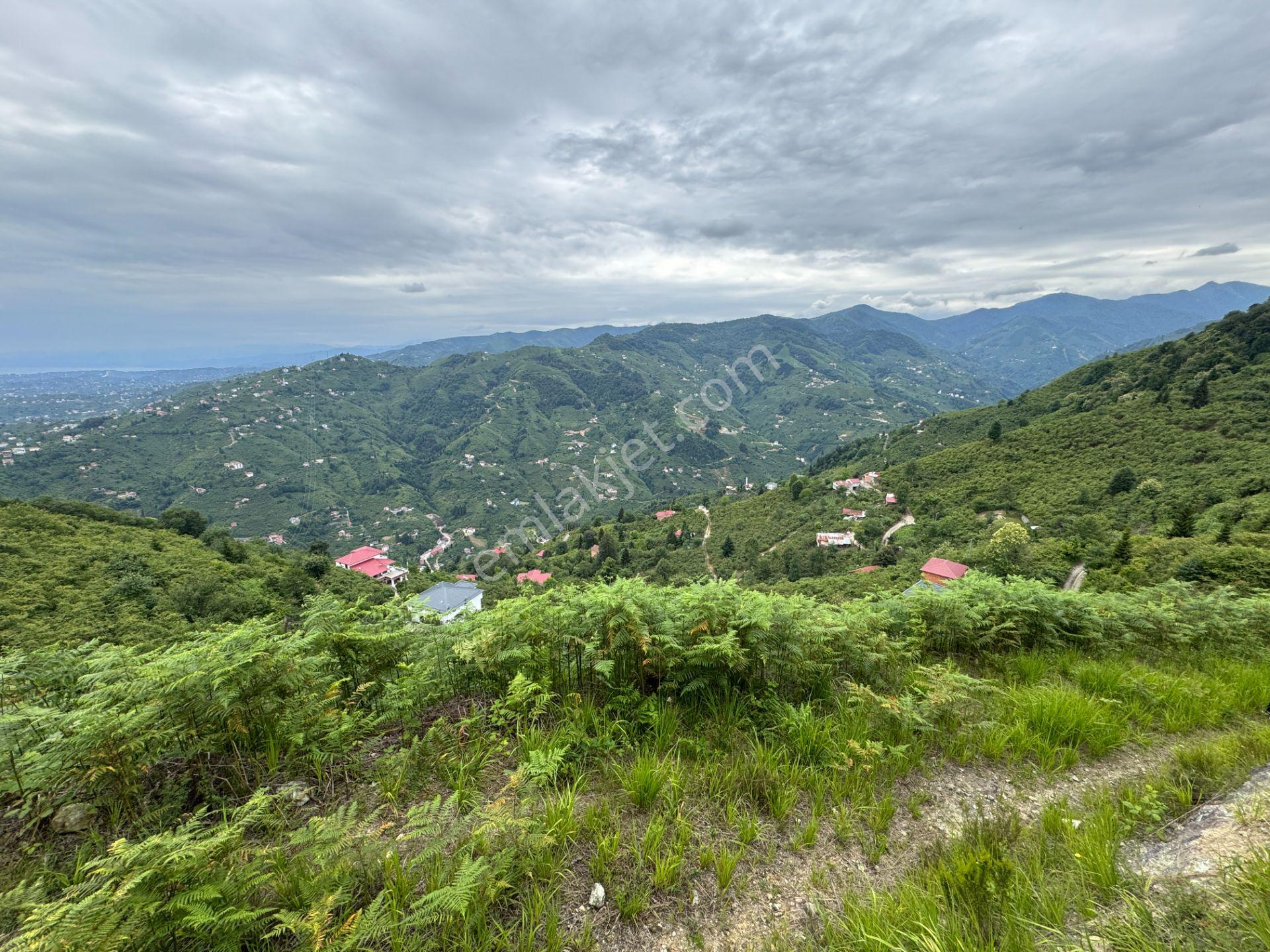 Trabzon Yomra Gürsel Mahallesi 2.344 M2 Satılık Arsa - Görsel 14