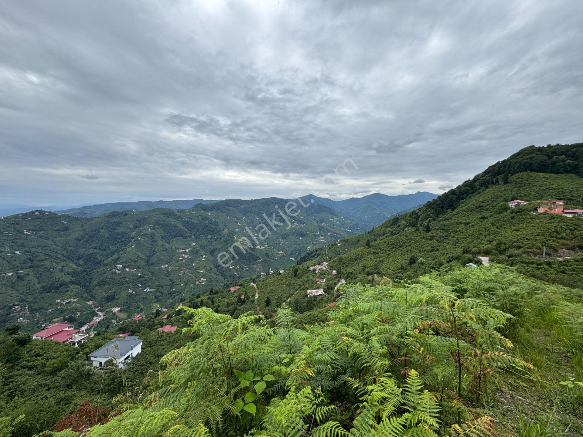 Trabzon Yomra Gürsel Mahallesi 2.344 M2 Satılık Arsa - Görsel 8