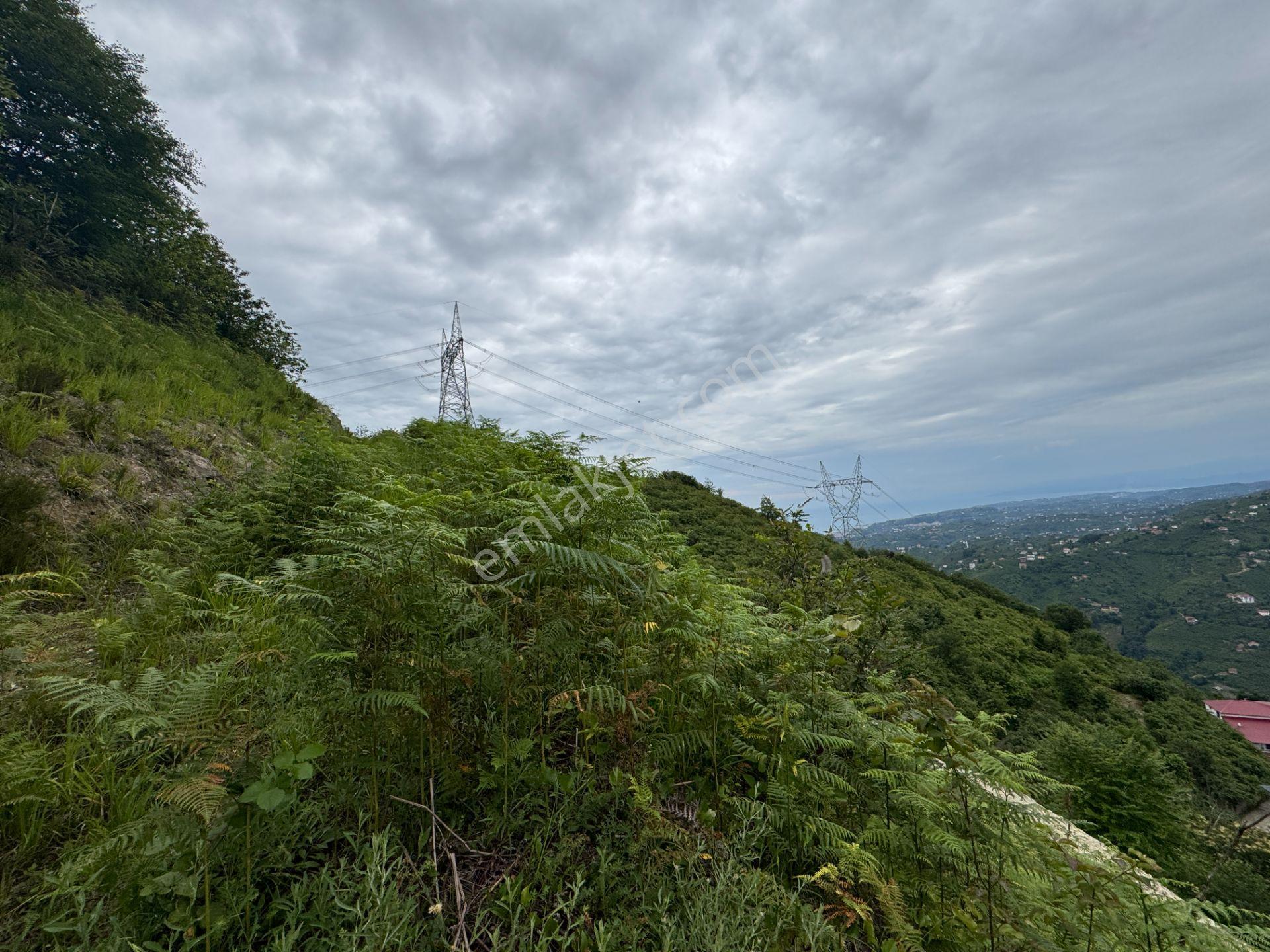 Trabzon Yomra Gürsel Mahallesi 2.344 M2 Satılık Arsa - Görsel 18