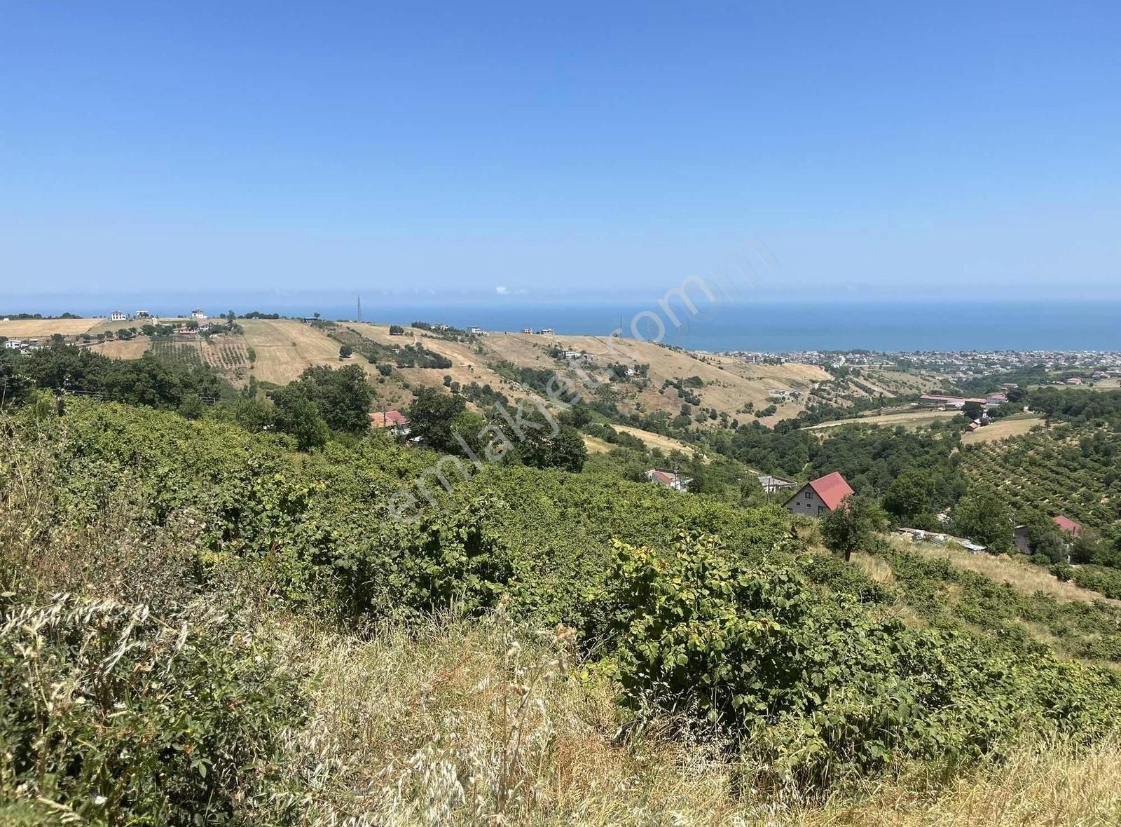 Emlak Sanatı | Muhteşem Manzara - Görsel 6