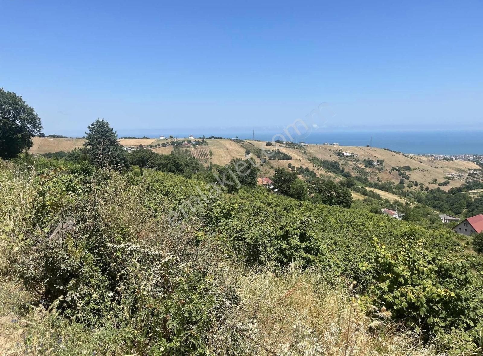 Emlak Sanatı | Muhteşem Manzara - Görsel 4