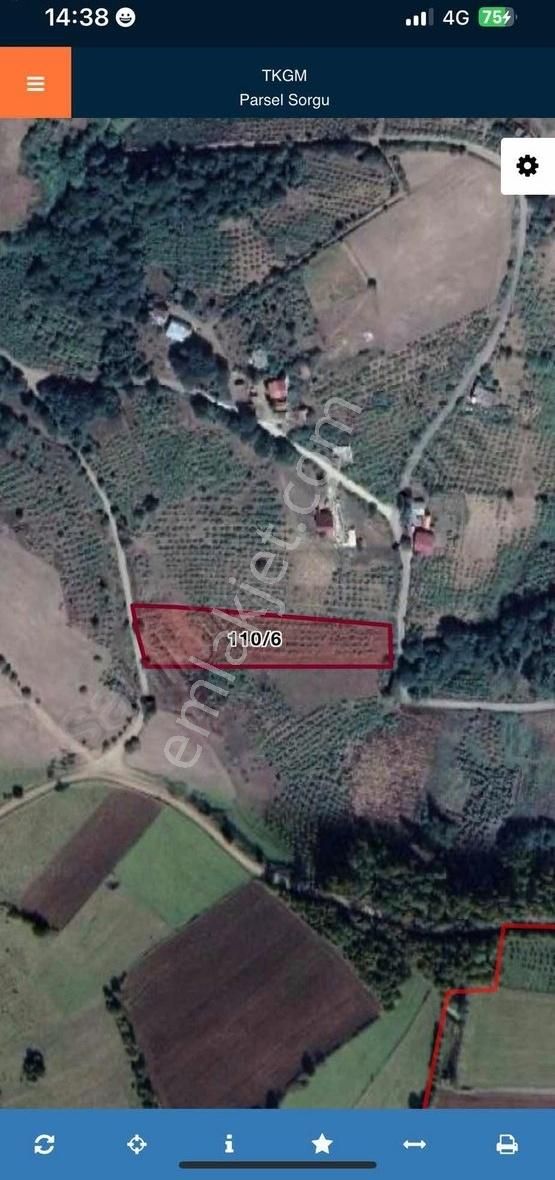 Emlak Sanatı | Muhteşem Manzara - Görsel 5