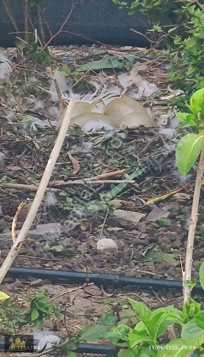 E&c'tema İstanbul 1 De Satılık 1+1 110 M2 Büyük Tip Daire - Görsel 22