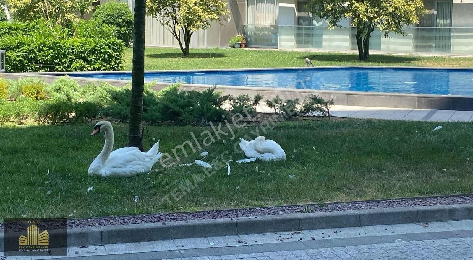 E&c'tema İstanbul 1 De Satılık 1+1 110 M2 Büyük Tip Daire - Görsel 16