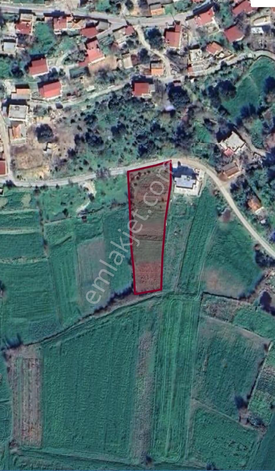 Mumcular Kemer'de Köy Yerleşim Alanında Yatırımlık Arsa – 2388 M²
