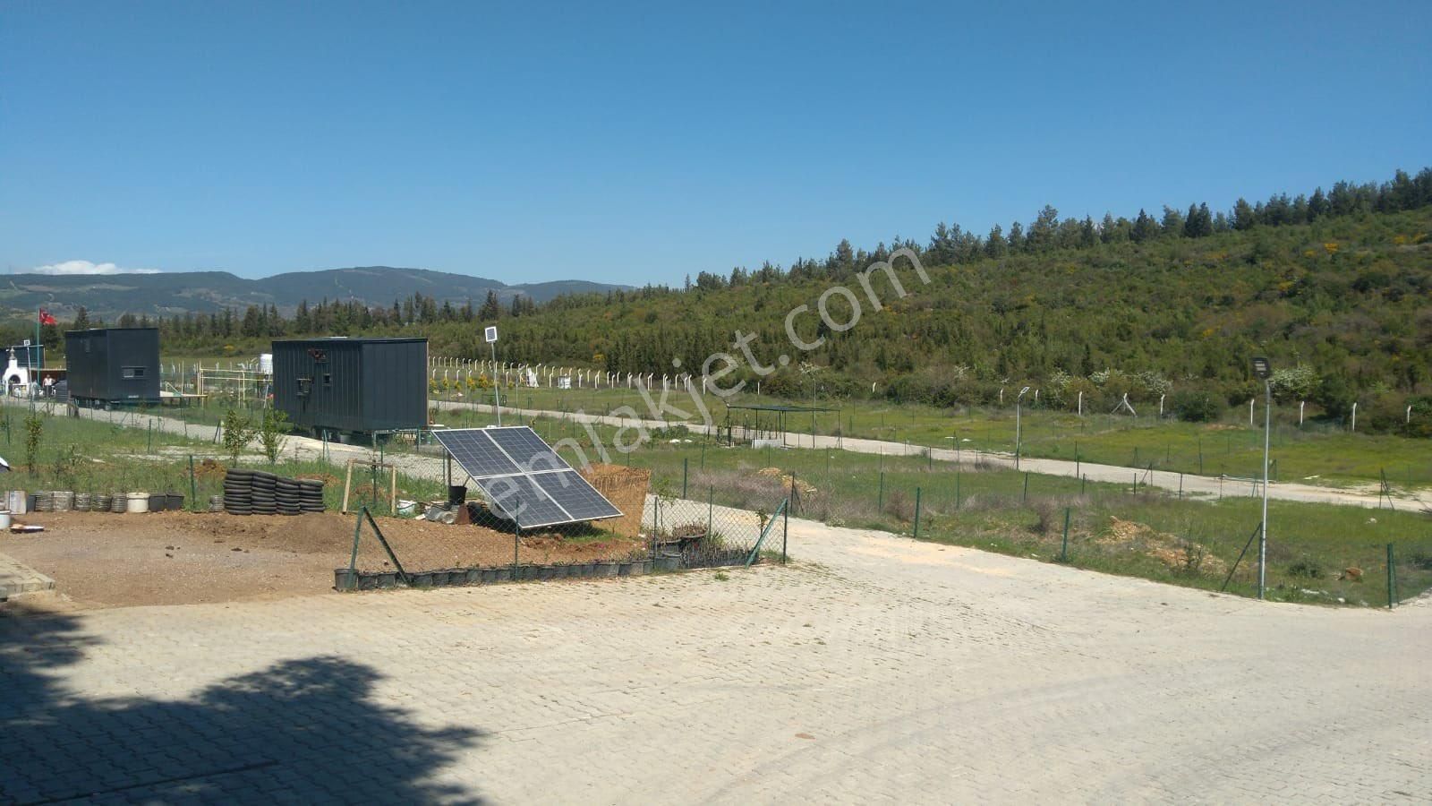 Kuladası Çınarköy Kavaklıdere Mevkisinde Satılık İki Parsel Hobi Bahçesi Bulunmaktadır - Görsel 2