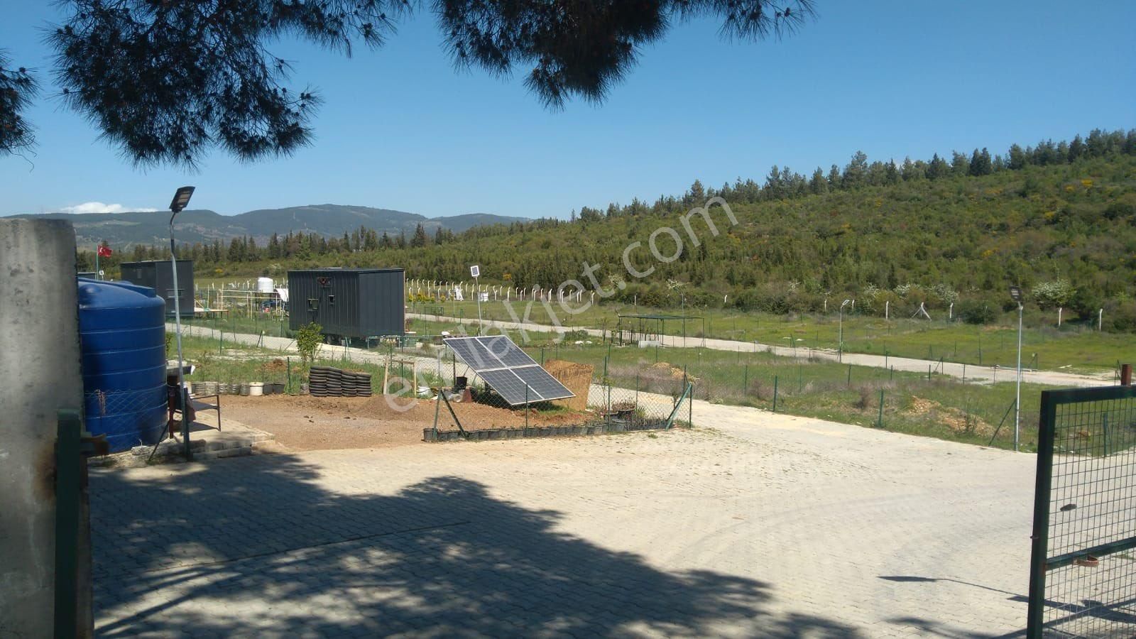 Kuladası Çınarköy Kavaklıdere Mevkisinde Satılık İki Parsel Hobi Bahçesi Bulunmaktadır - Görsel 8