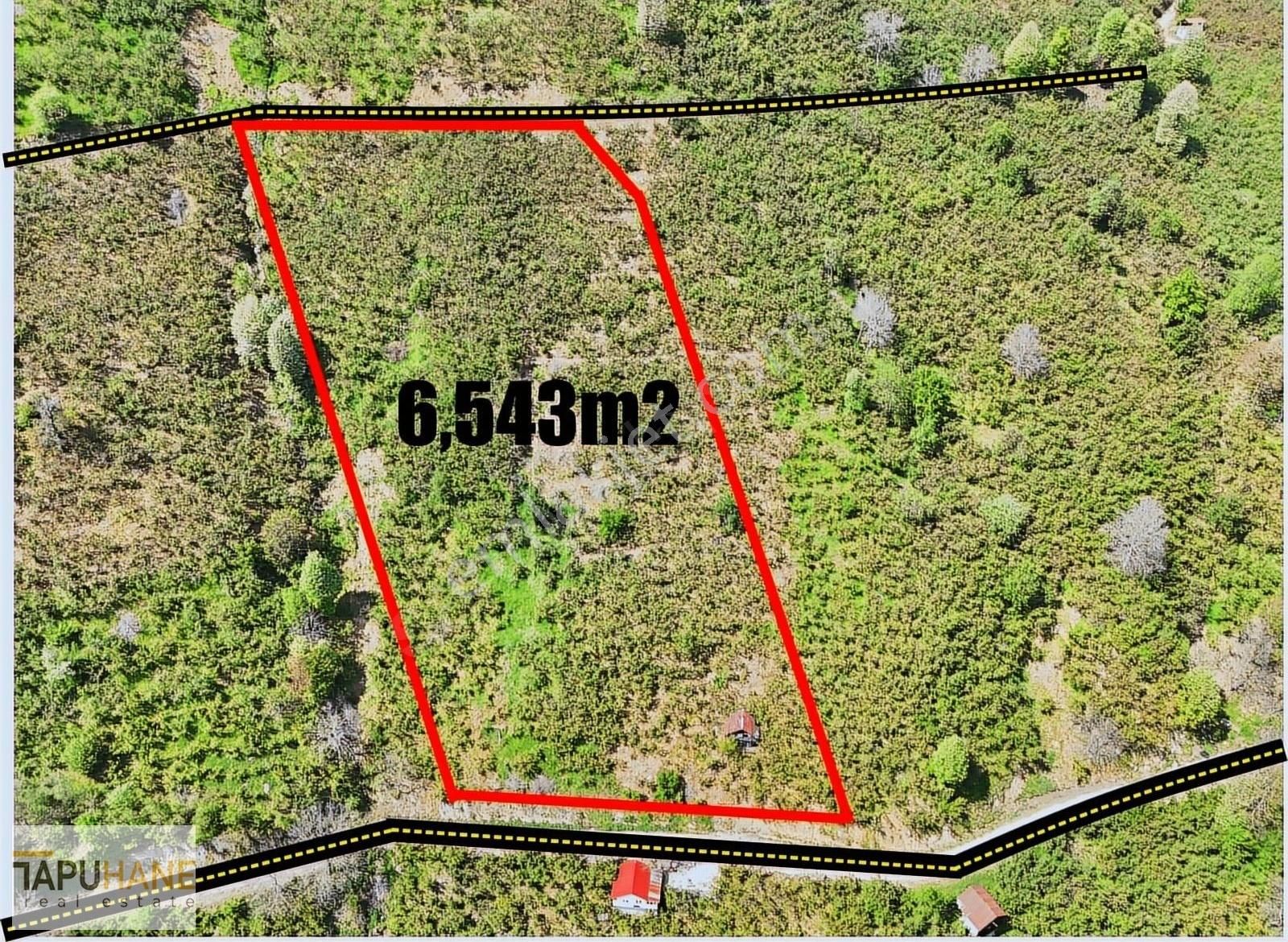 Tapuhane`den Güney Mahallesinde 6,543m2 Satılık Fıkdık Bahçesi - Görsel 4