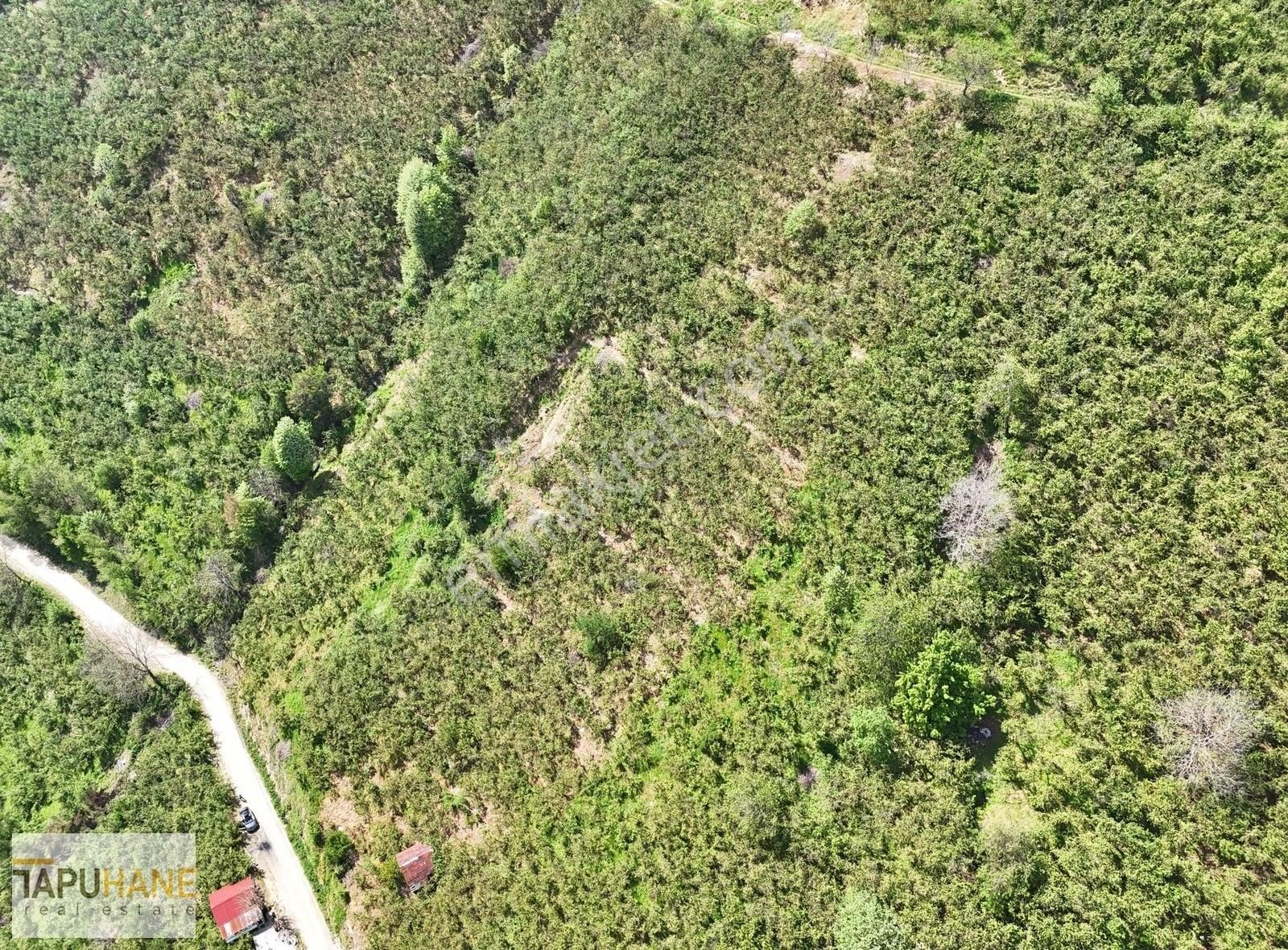 Tapuhane`den Güney Mahallesinde 6,543m2 Satılık Fıkdık Bahçesi - Görsel 3